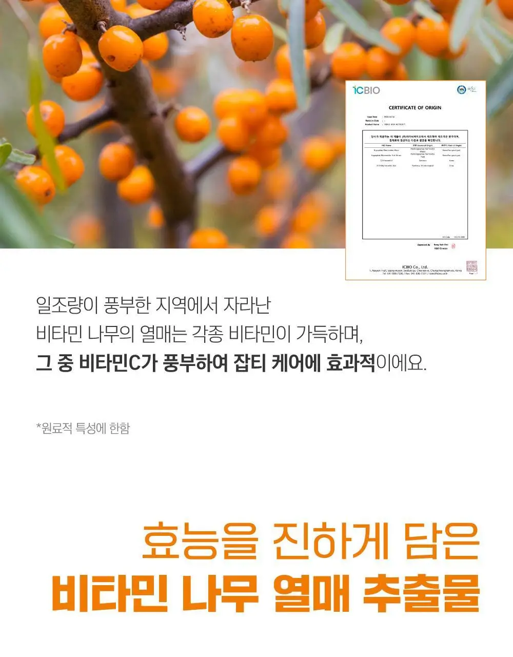 [미백/잡티케어] 라운드랩 비타 나이아신 잡티 세럼 마스크 10매 (온) 상세페이지 6